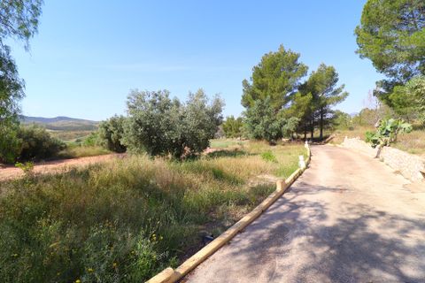 Cortijo i Velez-Rubio, Almeria, Velez-Rubio - € 395.000 | Ref: 3022-CH - foto 49
